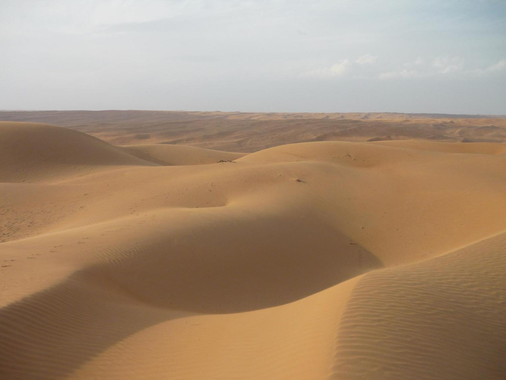 Desert Retreat Camp Al Wasil Ngoại thất bức ảnh